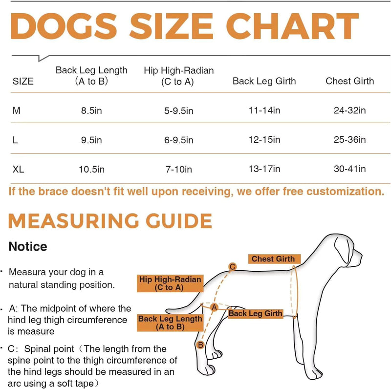 Dog Ligament Brace Support for ACL Injury Torn Recovery, Pet Adjustable Neoprene Dog Leg Support Sleeve, Pet Knee Joint Stabiliser for Cruciate ligament injury recovery, arthritis support. (M) M