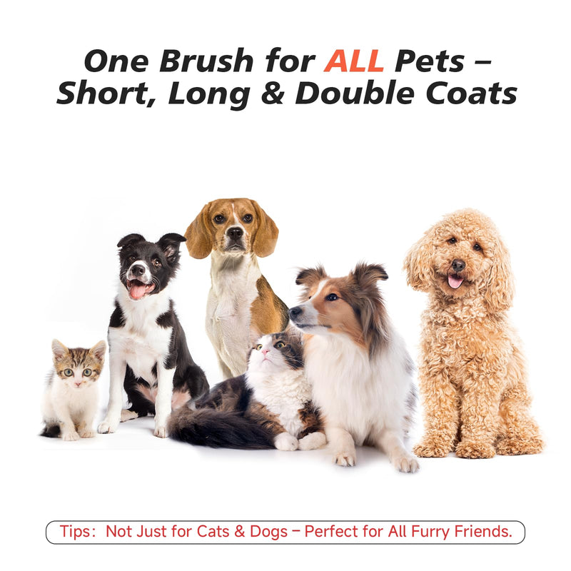 Steam Dog Brush for Shedding & Grooming - Self-Cleaning Deshedding Brush with Spritz Function, Slicker Pet Spray Hair Removal Comb | Defurring Tool for Long and Short Haired Dogs Cats (White) White - PawsPlanet Australia