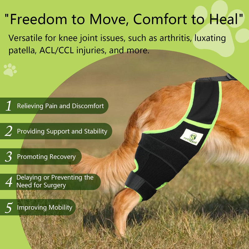 Dog Knee Brace for Hind Legs with Extra Collar & Strap - Relieves Joint Pain & Discomfort, Enhances Mobility | Supports Recovery from Osteoarthritis, Torn ACL/CCL, Luxating Patella | Adjustable (L) Large - PawsPlanet Australia