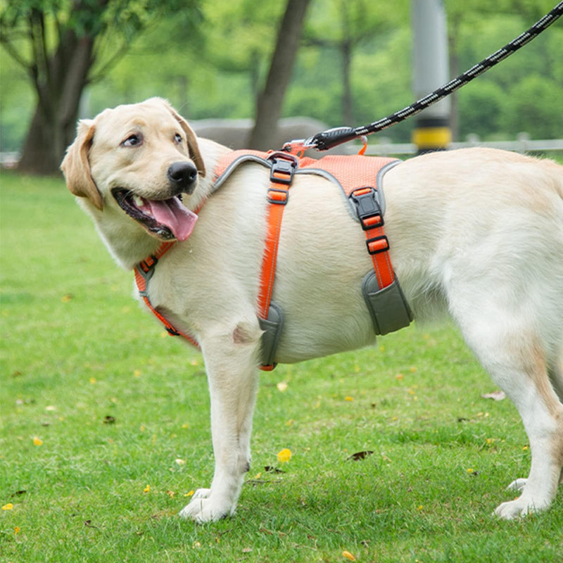 BELPRO Multi-Use Support Dog Harness, Escape Proof No Pull Reflective Adjustable Vest with Durable Handle, Dog Walking Harness for Big/Active Dogs (Orange, L) L(Packof1) Orange