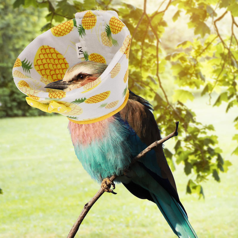 SUPVOX Bird Recovery Collar Bird Elizabethan Collar Neck Rings Wound Protector Cone Collar for Parrot Budgies Parakeet Cockatiels Yellow - PawsPlanet Australia