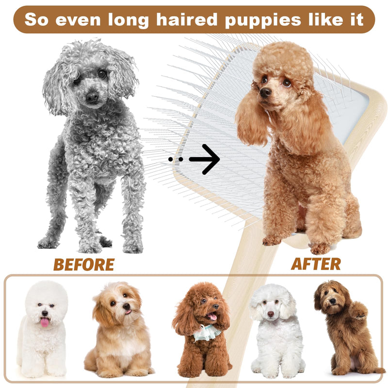 Slicker Brush for Dog, Doodles and Poodle Brush, for Tangles, Fluff Coat, Curly Hair Pets, Remove Loose Fur, Matts, Undercoat, Double Coat, 24mm Pins, 3.5''*2.4'' Head, Medium Size, Wood M - PawsPlanet Australia
