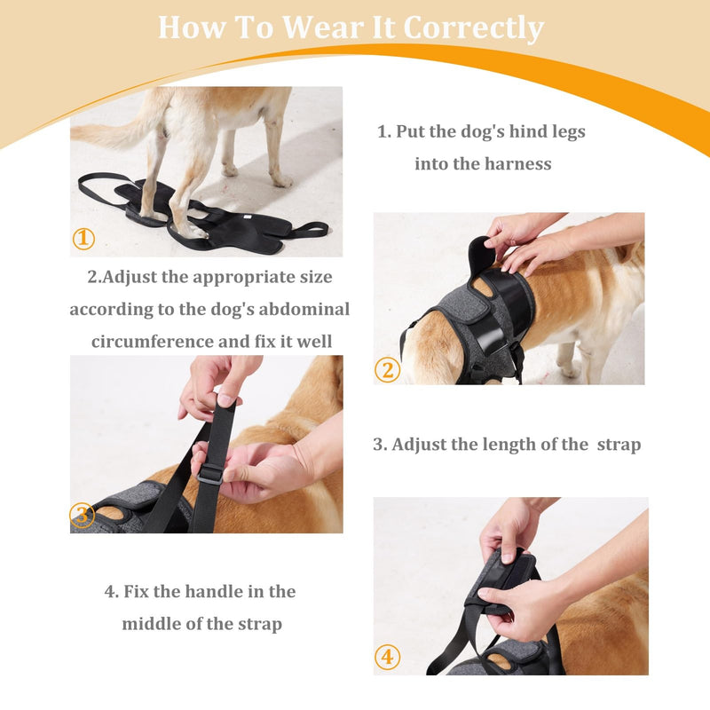 Dog Halter Harnesses, Adjustable Lift Hanress For Large Dogs, Dog Sling For Medium Dogs Hind Leg Support To Help Rehabilitate, Soft Padded Dog Support Harness For Elderly, Injured, Arthritic(X-Large) X-Large - PawsPlanet Australia