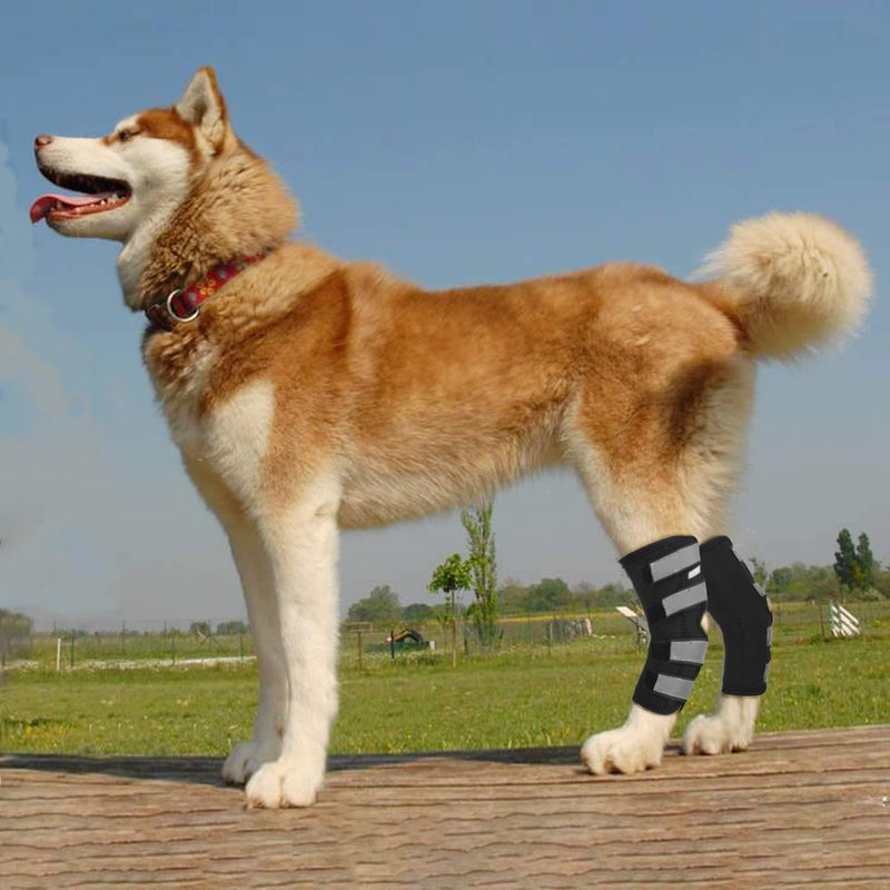 REFIT Dog Leg Brace Hock (Ankle) Joint Support | Helps with Hind Leg Injuries, Sprains, Dog Arthritis and Post Surgery Recovery | Veterinary Orthopedic Design Stabilizes Dog Hind Leg Medium - PawsPlanet Australia
