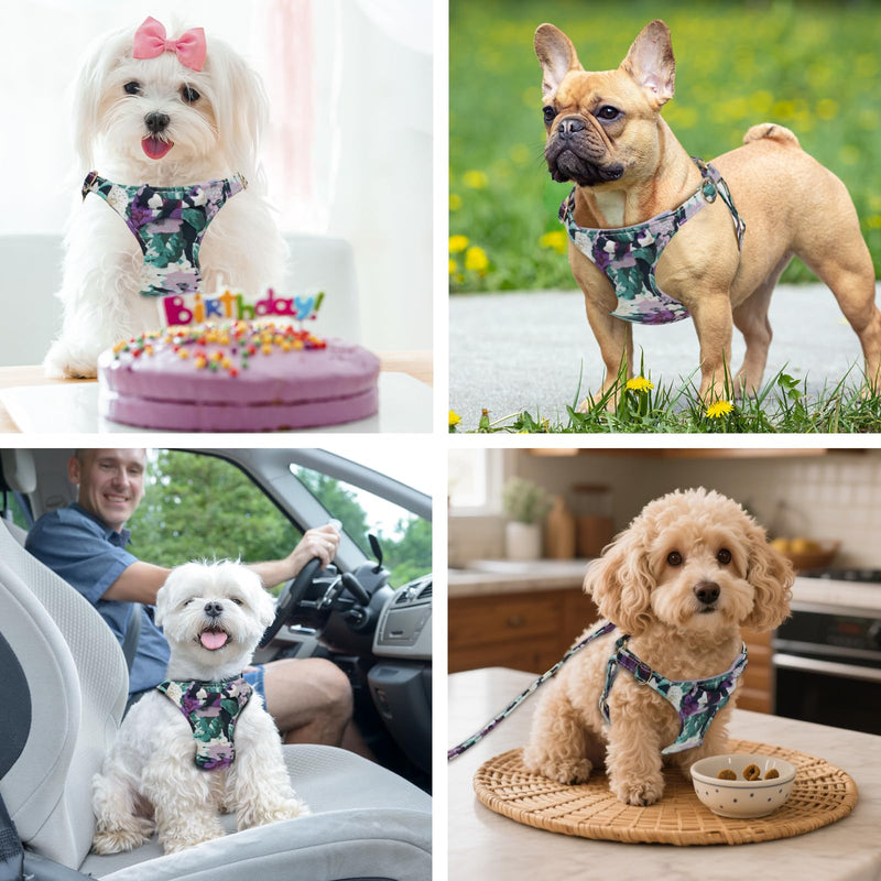 XXS Dog Harness and Leash Set Lightweight Pet Harnesses with Cute Bowtie Floral Pattern, Adjustable Escape Proof Puppy Vest Extra Small Size Dogs for Daily Walking Parties Holiday Purple Purple Flower XXS - PawsPlanet Australia