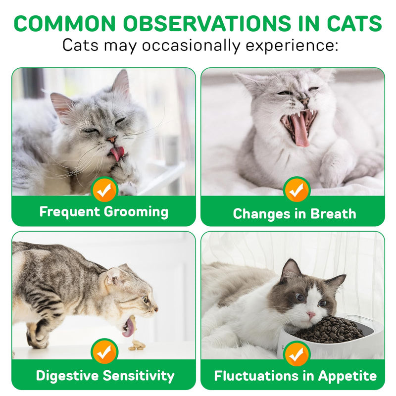 Cat Grass Sticks, Cat Grass Teething Sticks, Natural Oral Hygiene, Cat Treats for Teeth Cleaning and Hairball Removal - 60g