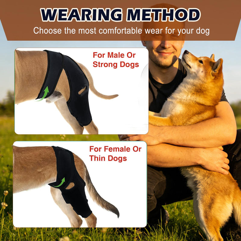 Dog Knee Brace for Torn ACL Hind Leg, Front Back Leg Support with Side Stabilizers Vet-Recommended Dog Joint Protection Arthritis Pain Relief Recovery Brace for Small Medium Large Dogs L Black
