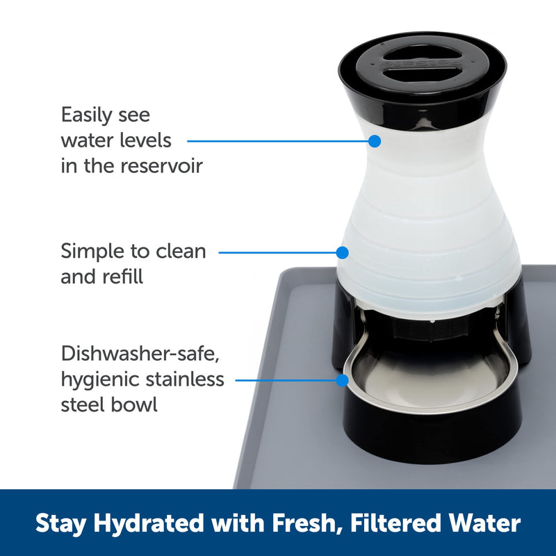PetSafe Healthy Pet Water Station - Medium, 128 oz Capacity - Gravity Pet Water Fountain, Automatic Cat Water Fountain, Dog Water Fountain, Water Dispenser - Removable Stainless Steel Bowl Included Waterer - PawsPlanet Australia