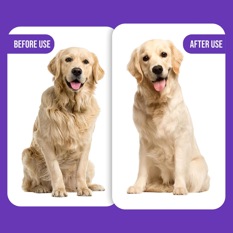 Self-Cleaning Gentle Slicker Brush, Sensitive Skin Gentle Dog Brush, for Big Dog and Large Breed, to Remove Loose Hair, Mats, Dirt - Pain Free Grooming - PawsPlanet Australia