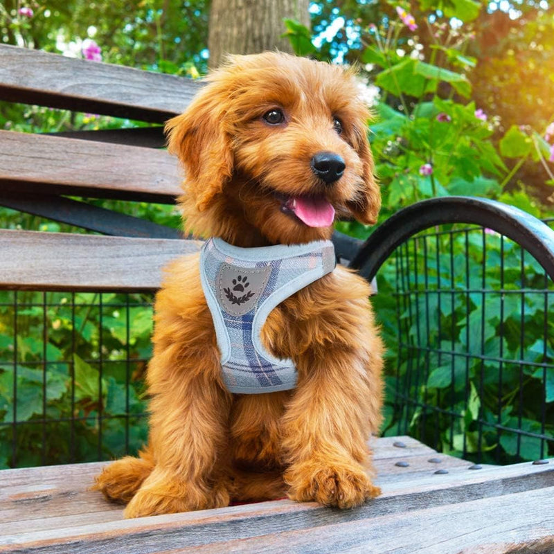 PUPTECK Adjustable Dog Harness Collar and Leash Set Step in No Pull Pet Harness for Small Medium Dogs Puppy and Cats Outdoor Walking Running, Soft Mesh Padded Reflective Vest Harnesses, Blue M M (CHEST 16"-18") - PawsPlanet Australia