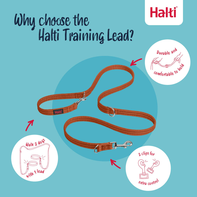 Halti Training Lead - Professional No-Pull Double-Ended Dog Lead, Lightweight, Soft & Durable, Ideal for Obedience Training & Everyday Walks with Dogs and Puppies (Size Small, Burnt Orange, 2m) S - PawsPlanet Australia