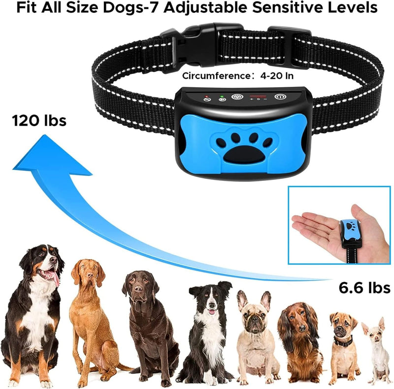 The Woof Whisperer Small Anti Bark Dog Collar STOP BARKING No Shock Vibration Sound Training Collar HUMANE & SAFE Automatic Anti-Bark Barking Deterrent Device - PawsPlanet Australia