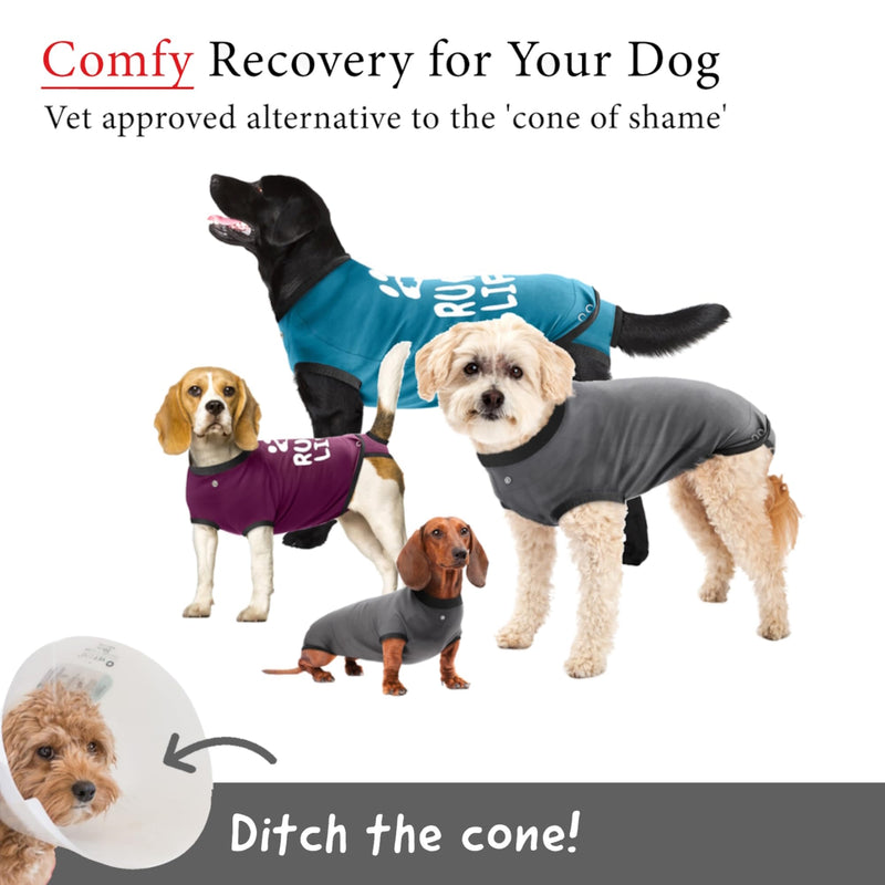 BellyGuard Recovery Suit for Dogs, After Surgery Dog Recovery Suit Female and Male, Soft Cotton Dog Surgery Suit Female Spay, Dog Surgical Recovery Suit Male Neuter, Comfy Surgical Onesie for Dogs. Large Grey - PawsPlanet Australia