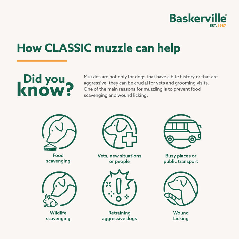 Baskerville Classic Basket Muzzle - Dog can Pant and Drink, Prevents Biting and Food Waste Scavenging, Strong TPR, Ideal for Longer Nosed Dogs, Breathable Dog Training Muzzle for Large Dogs (Size 10) - PawsPlanet Australia