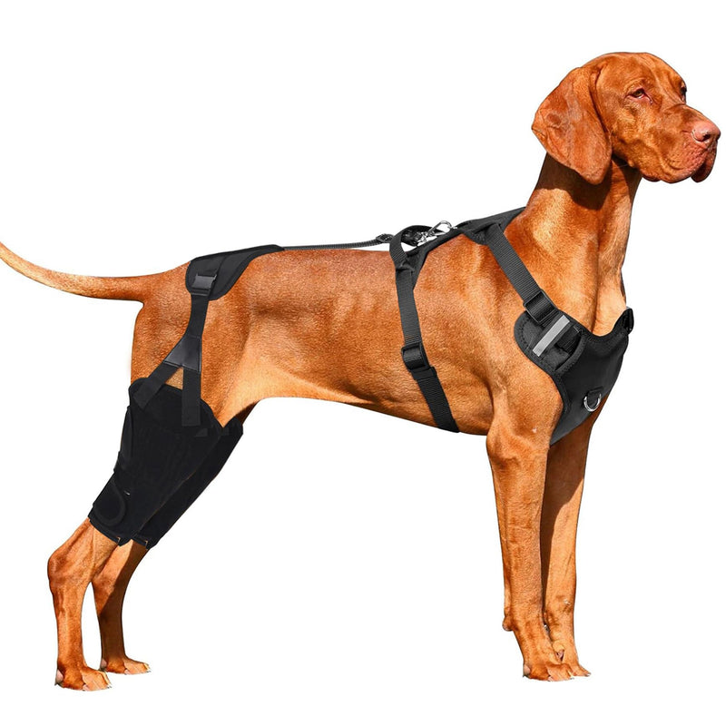 Dog Knee Leg Brace, Dog ACL Brace for Back Hind Rear Leg, Leg Support Brace