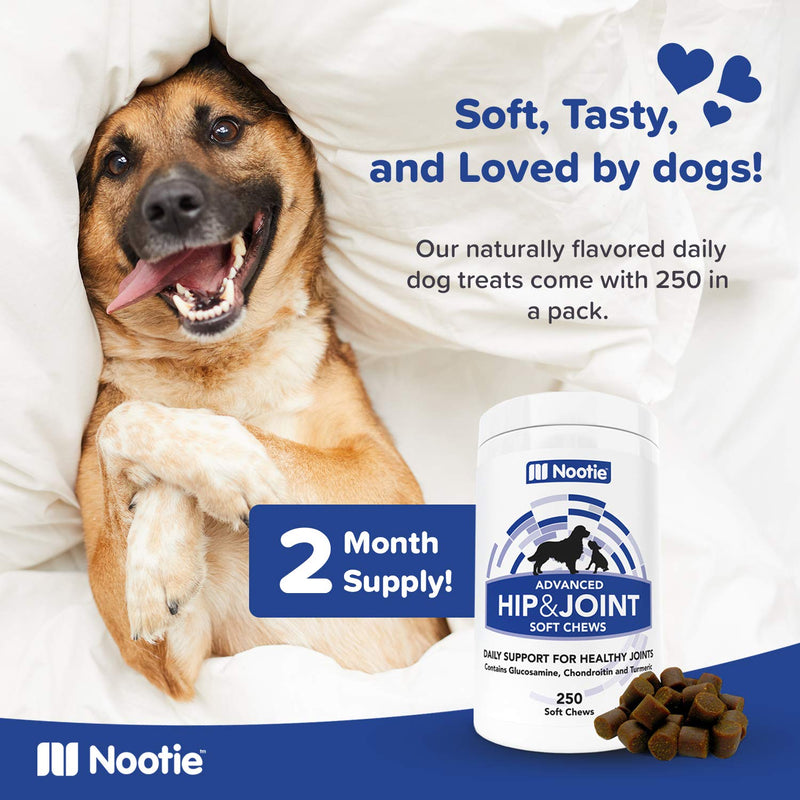 Nootie Glucosamine for Dogs - Hip and Joint Soft Chews Supplement for Dogs - Daily Dog MSM Chondroitin Chews with Turmeric - Joint Care Vitamins for All Breeds and Sizes 250 Count