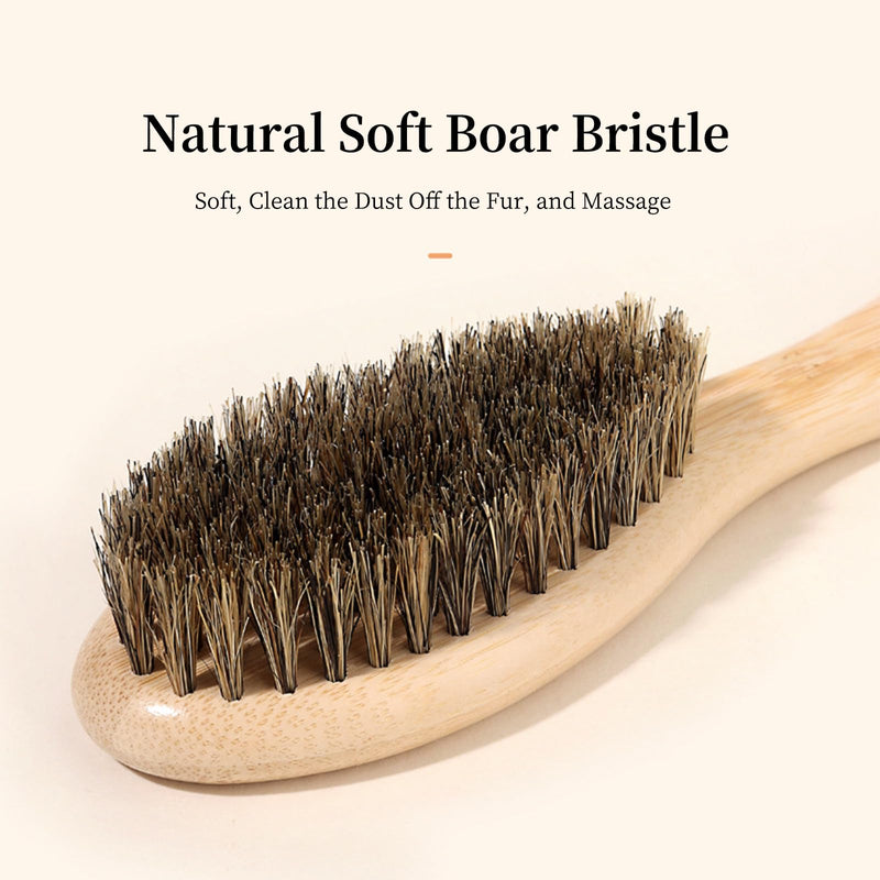 Soft Boar Bristle Dog Brush for Short Haired, Gentle Deshedding & Grooming Tool, Ideal Pet Hair Brush, Puppy Essentials for Grooming and Shedding, Small - PawsPlanet Australia