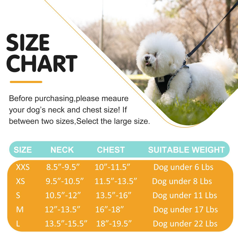 Dog Harness and Leash Set, No Pull Pet Harness for Small Dogs Easy Walking,Soft Breathable Small Dog Harness,Adjustable Reflective Step in Vest Harness for Puppy,Kitten, Cats xxs black - PawsPlanet Australia