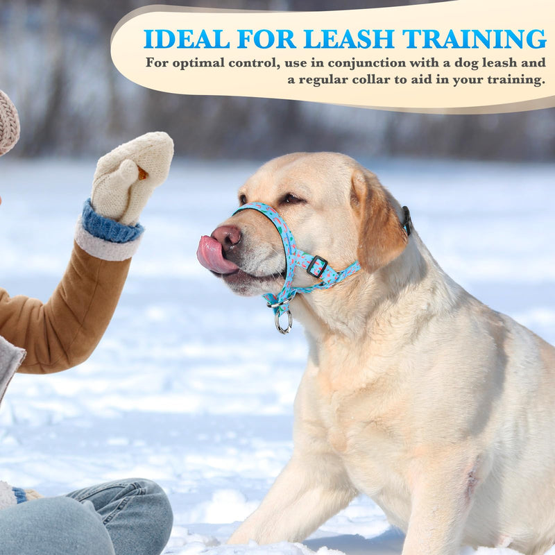 No-Pull Dog Head Collar, Print Head Halter Collar for Dogs, Gentle Lead to Stop Heavy Pulling, Anti-Pull Training Muzzle Leash for Easy Control on Walks (Blue, Small) Blue - PawsPlanet Australia
