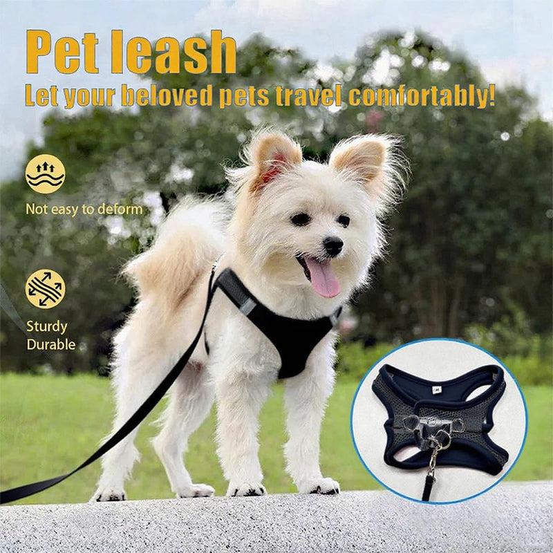 Dog Harness Small Sized and Leash Set, Dog Harness with Leash Set, Comfortable Air Mesh Dog Vest Harness with Reflective Strip, Reflective for Safe Easy Walking Dogs, Cats, Black M M (Chest: 11.02 - 12.59inch) - PawsPlanet Australia