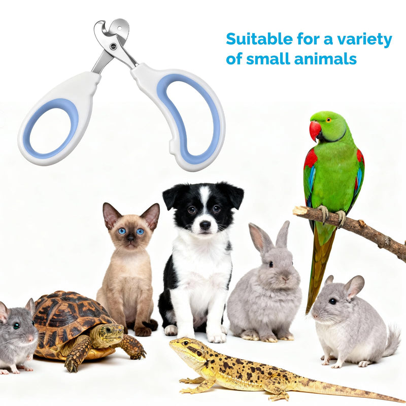 Small Animal Nail Clippers, Stainless Steel Bearded Dragon Nail Clippers, Cat Nail-Clipper, Professional Reptile Grooming Tool with Precise Angled Edge, Claw Trimmer for Birds, Cat, Dog Small Animals