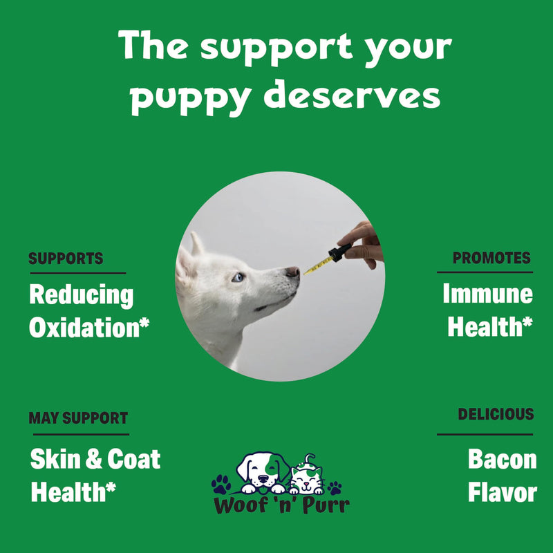 Vitamin E for Dogs - Vitamin E Dog - Vitamin E for Dog - Dog Vitamins E - Vitamin E Canine - Vitamin E Supplement for Dogs - Vitamin E Oil Dog - Dog Vitamins - Dog Immune Support - 1 fl oz - PawsPlanet Australia