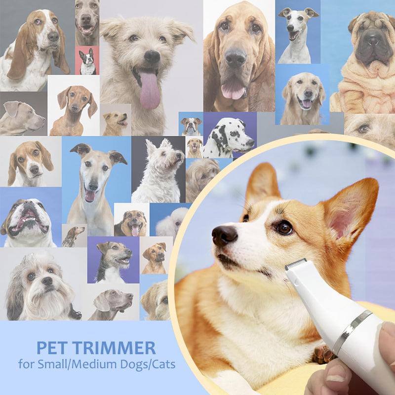 Dog Clippers for Grooming,4 in 1 Dog Grooming Kit,Low Noise Electric Dog Trimmer for Grooming,Rechargeable Cordless Dog Paw Trimmer Nail Grinder Face Shaver for Cats and Other Pets - PawsPlanet Australia