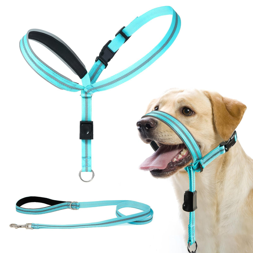 BARKLESS Dog Head Collar, Reflective Head Halter for Small Medium Large Dogs with Soft Padding, No Pull Dog Mouth Harness with Training Leash, Adjustable Muzzle Leash for Gentle Walking (Turquoise, M) M (Snout 9½-12½ '') Turquoise