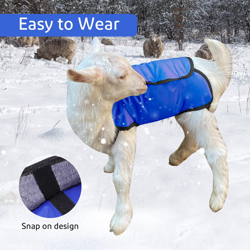 2 Pack Lamb Coat with Quilted Lining, Sheep/Goat Blanket, Blue and Gray - PawsPlanet Australia