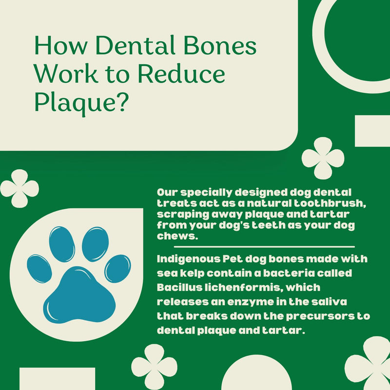 Indigenous Pet Dental Health Bones Mini 2 Pack – Original Fresh Breath (11.92 Ounce x 2) | Grain-Free Dog Chews with Prebiotics & Omegas | Freshens Breath, Supports Digestive, Skin & Coat Health | 11.92 Ounce (Pack of 2)