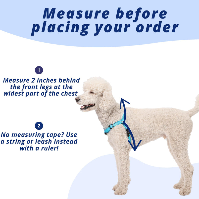 ShawnCo Dream Walk Pro Dog Harness- No-Pull, Comfortable, Adjustable, Easy to Use Pet Halter to Help Stop Pulling for Small, Medium and Large Dogs (ICY Lilac, Medium) Icy Lilac - PawsPlanet Australia