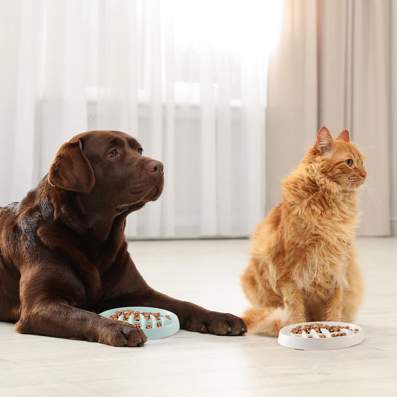 Maitys 2 Pack Cat Slow Feeder Bowl Slow Feed Cat Dish Fishbone Cat Slow Feeder Small Interactive Dog Feeder Dish Anti Gulping Pet Bowl for Cat and Dog Slow Eating to Against Bloat(White, Green) Green,White