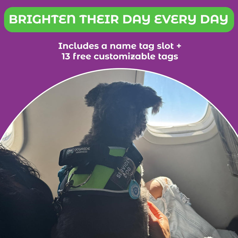 Joyride Harness LED Light Up Dog Harness 2.0 - Patent Pending Design, 3 LED Modes, Vibrant Rechargeable Lighting, Customizable Name Tag Area, and Convenient On/Off Button for Enhanced Pet Safety Black X-Small - PawsPlanet Australia