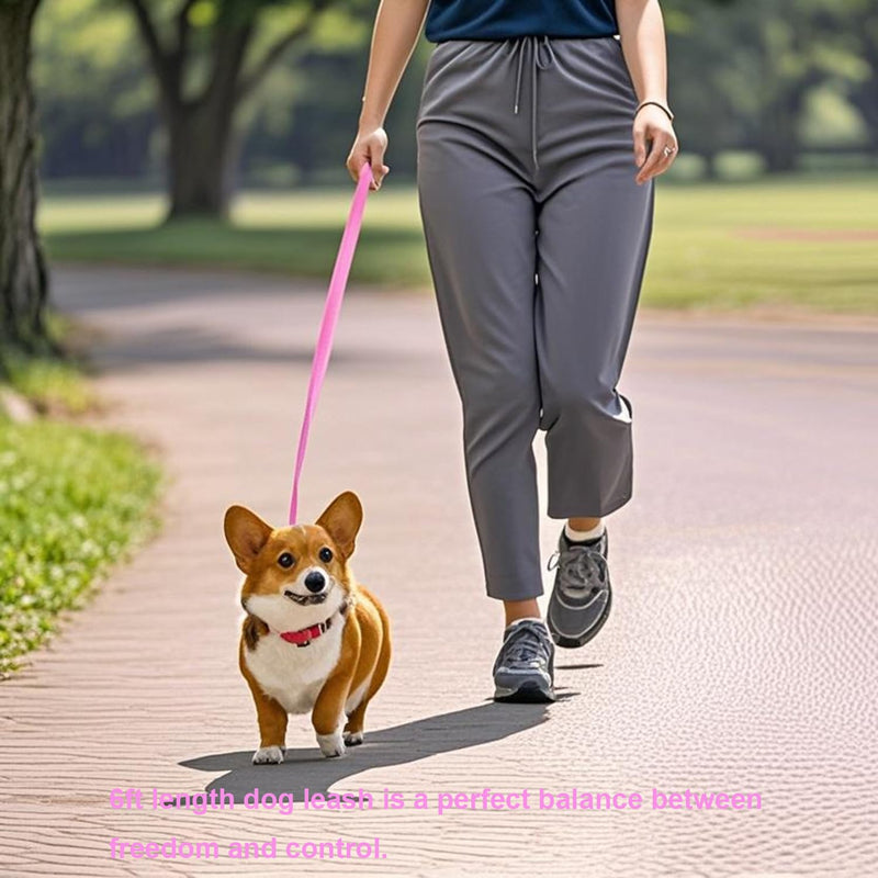 6 FT Puppy Leashes, Strong Traditional Style Leash with Easy to Use Collar Hook,Dog Lead Great for Small and Medium and Large Dog (Pink, 5/8 in x 6 ft) Pink - PawsPlanet Australia