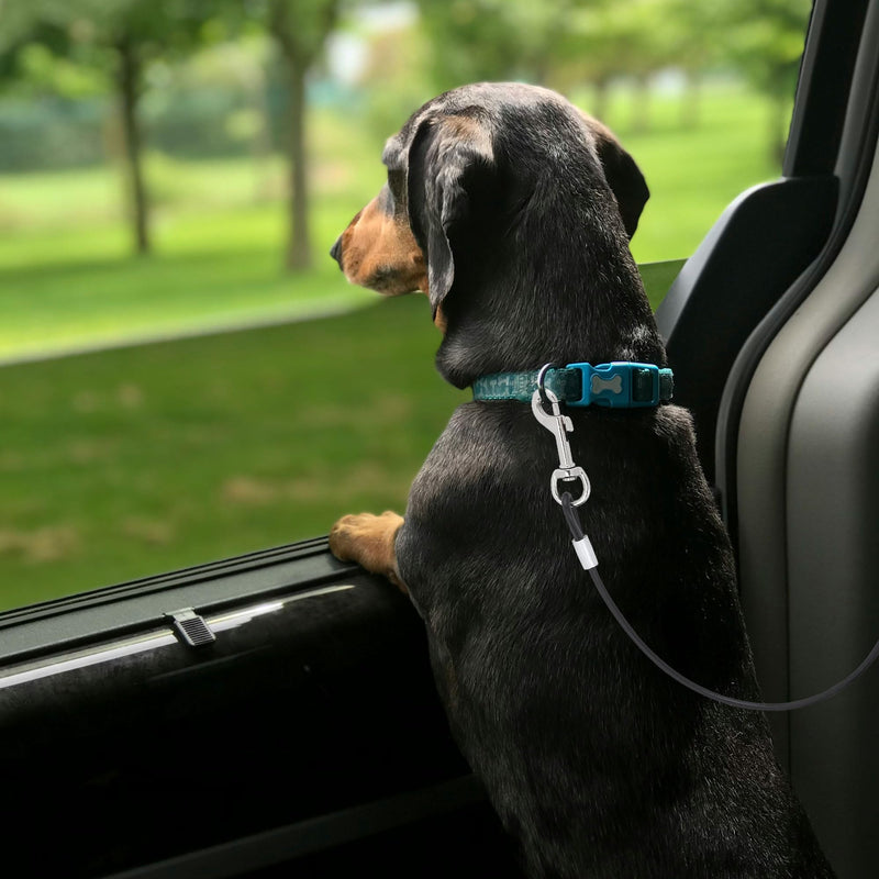 Mogoko Chew Proof Dog Car Seatbelt Safety Restraint Pet No-Chew Tether Cable Stainless Steel Dog Leash Puppy Vehicle Seat Belt Strap with Double Clip and Latch Attachment (S Size,24 inch) 24.0 inch - PawsPlanet Australia