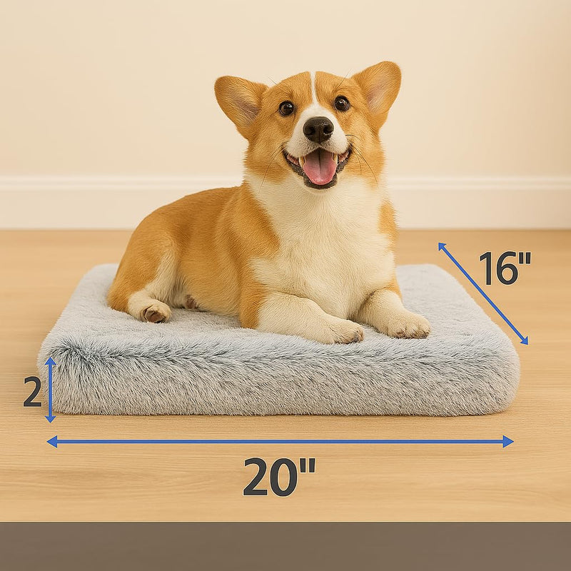 Dog Bed with Removable Cover, Orthopedic Dog Bed (Medium) - Premium Quality, Washable & Portable,Multiple Sizes, Stylish Design, Removable Cover, Size(19.68 x 15.74 X 2) inch Medium - PawsPlanet Australia