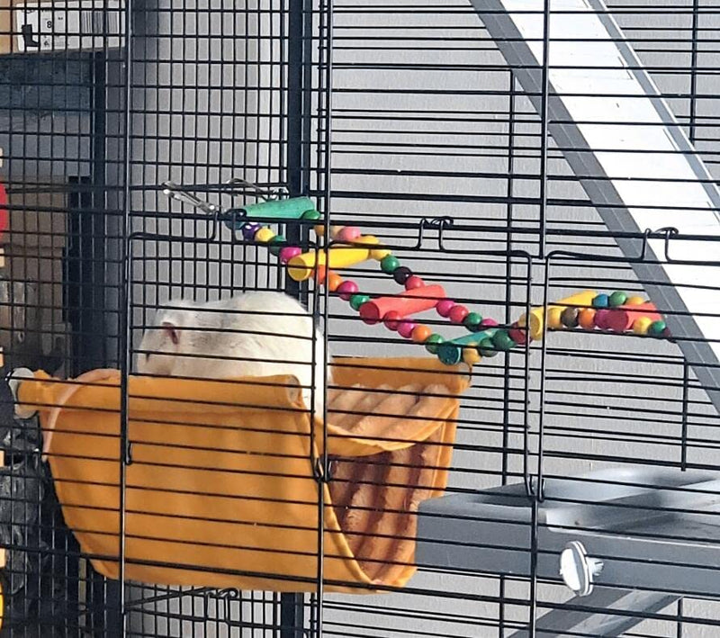 DS. DISTINCTIVE STYLE Bird Ladder Toys Coloured Flexible Parrot Swing Bridge Wooden Cockatiel Cage Hanging Climbing Ladder (39 in (16 Steps)) 39 in (16 Steps) - PawsPlanet Australia