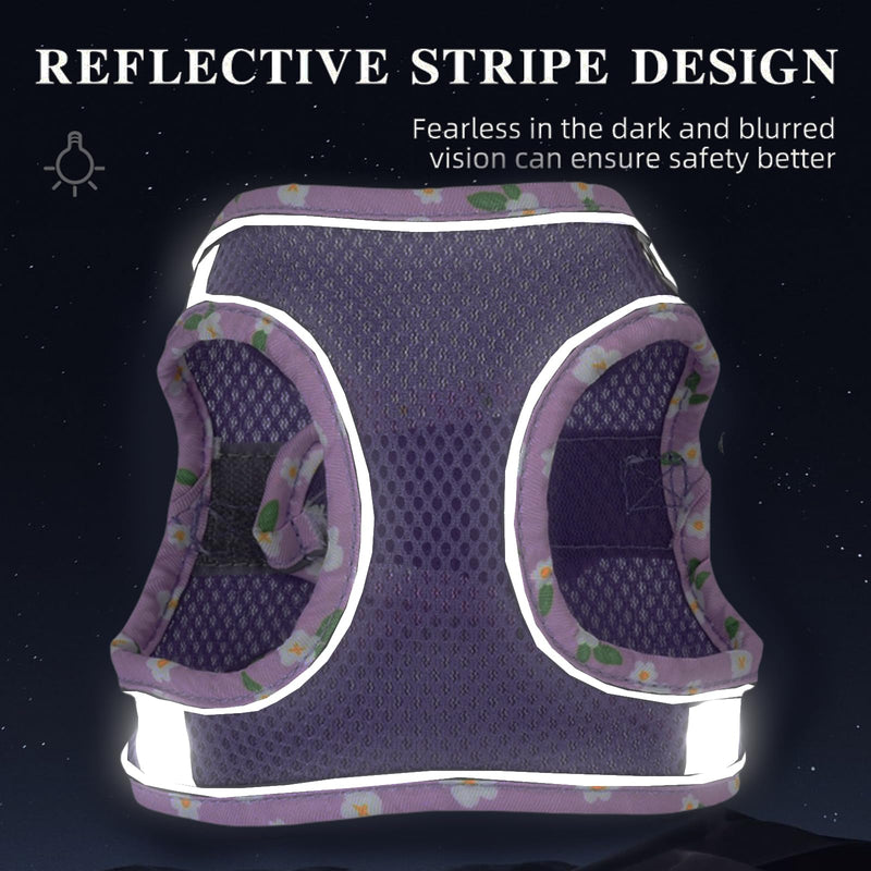 Petank Dog Harness for Small Medium Dogs No Pull, Puppy Harness and Leash Set, Mesh Adjustable Breathable Light Vest for Walking, Running, Training. (Purple, S) Purple - PawsPlanet Australia