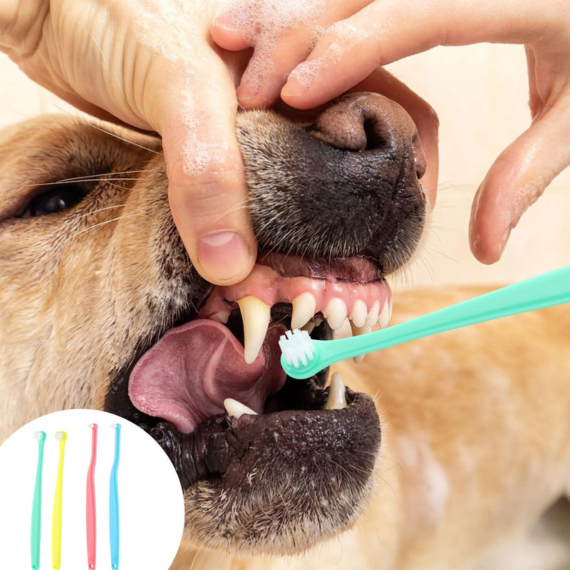 4pcs Dog & Cat Toothbrush, Round & Pointed Soft Bristle Pets Toothbrush Micro Head Kitten Teeth Cleaning Brush Dental Care for Puppy Kitty Reduce Plaque Tartar Formation & Bad Breath (Color 2) Color 2 - PawsPlanet Australia