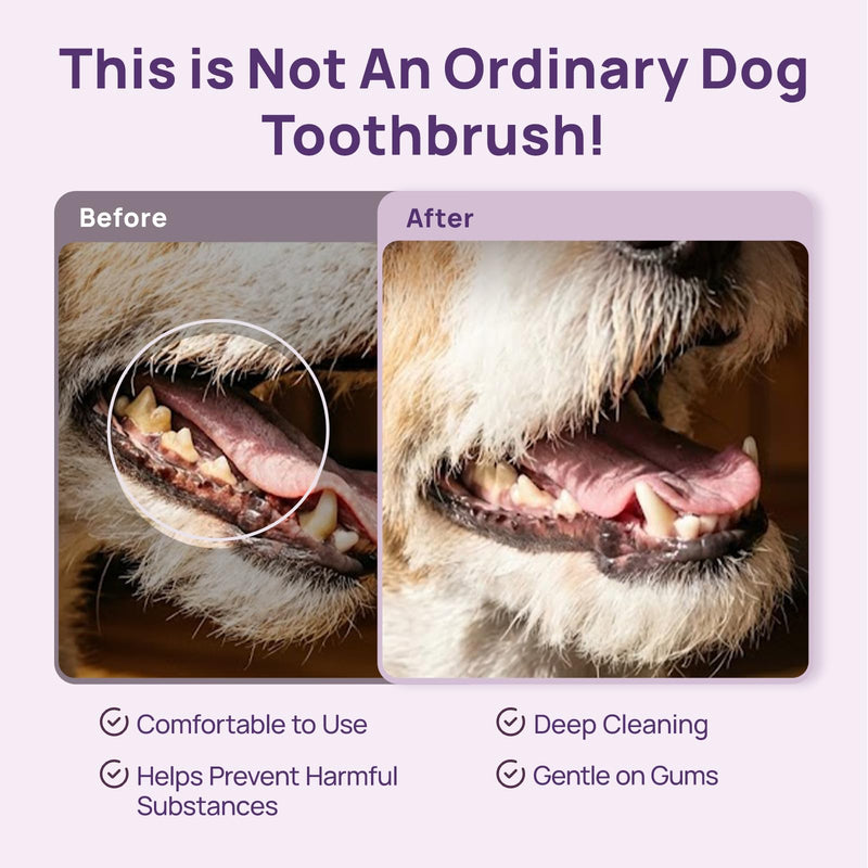 HICC PET Toothbrush for Dogs & Large Cats, Vet-Recommended Ergonomic Pet Toothbrush for Easy Teeth Cleaning, Gentle on Gums, Cat & Dog Dental Care, Improves Oral Hygiene. Toothpaste Not Included Purple for Dogs & Large Cats