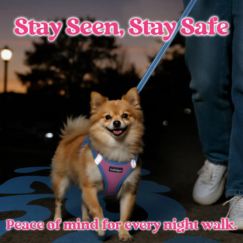 rabbitgoo Dog Harness Small Sized and Leash Set, Step-in Breathable Pet Harness, Soft Walking Reflective Puppy Vest for Small Dogs, Pink & Light Blue, S S (Chest: 15.1 - 16.5") - PawsPlanet Australia