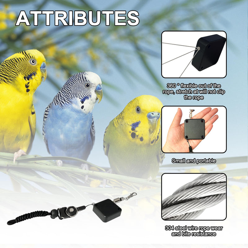 Retractable Bird Leash,Parrot Flying Rope,Anti-Bite Wire Rope Parrot Leash,Adjustable Bird Leash Harness for Training,with 5pcs Alloy Foot Rings,for Budgies,Cockatiels,Crested Cockatoo,Macaws,20ft - PawsPlanet Australia