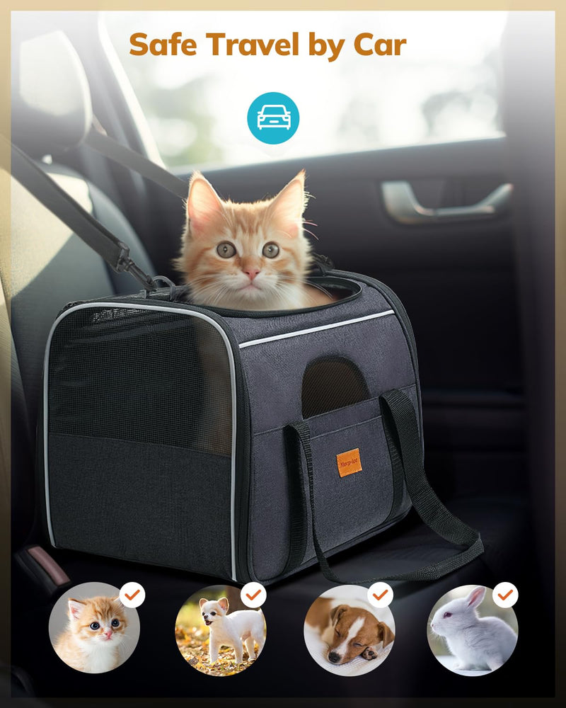 Morpilot Cat Carrier Soft - Portable Pet Carrier for Small or Medium Cats, Dogs and Puppy up to 14lbs, Airline Approved Dog Carrier with Safety Buckle and Foldable Bowl - 17 x 11 x 12 Inch (Dark Gray) 17.2"L x 10.8"W x 11.6"H Gray & Bowl - PawsPlanet Australia