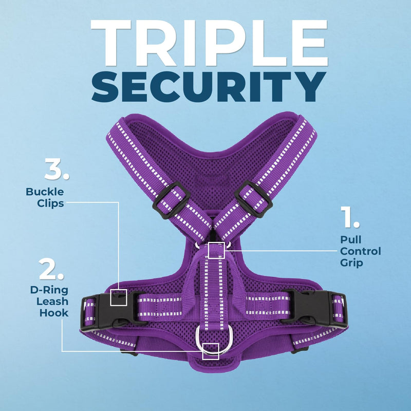 Air Frontier Mesh Dog Harness with Steel Leash D-Ring, Reflective Stitching, and Lightweight Breathable No-Pull Design, Adjustable Neck and Chest Straps for Small to Large Breeds - PPW, XS XS (Chest: 13 - 16") Harness (Purple Mesh) - PawsPlanet Australia