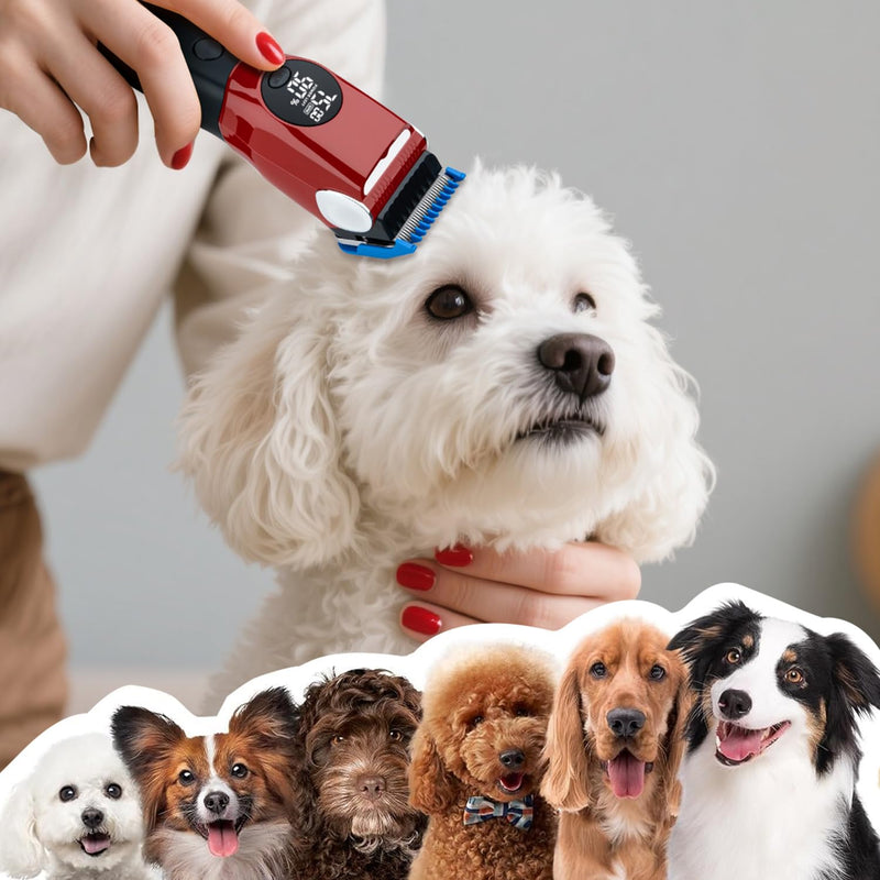 Mcbazel Dog Clippers Grooming Kit, Low Noise Rechargeable Cordless Adjustable Pet Hair Shaver Trimmers Set for Dogs, Cats and Other Pets - Red - PawsPlanet Australia