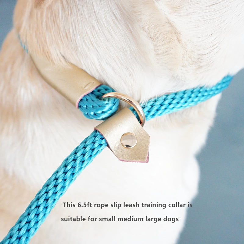 6.5ft Pet Slip Leash, Dog Lead and Collar Combo, Gentle Lead Leash, Recall Training Leash for Small Medium Large Dogs (Black, 6.5ft x 11mm) Black - PawsPlanet Australia