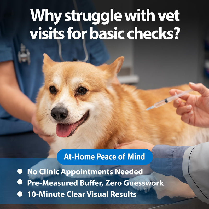 4-in-1 Dog Health Management Card 4-in-1 Canine Health Signal Analyze Common Canine Illnesses Quick and Easy at-Home Testing - PawsPlanet Australia