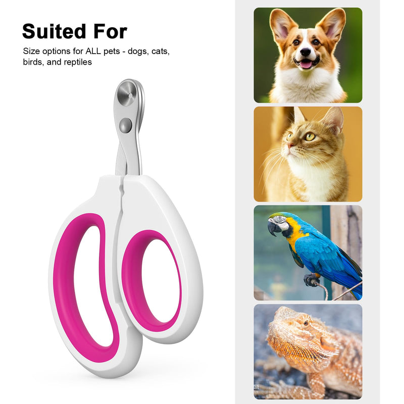 Cat Nail Clippers, Cat Claw Trimmers, Suitable for Small Animals Such as Cats, Birds, Hamsters, Rabbits, Hedgehogs, ferrets, Chinchillas, Guinea pigs，Etc, Professional Nail Trimmers for Small Animals. - PawsPlanet Australia
