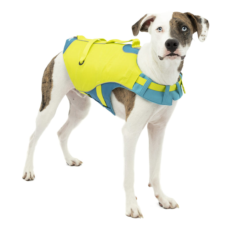 Kurgo Surf n’ Turf Dog Life Jacket, Dog Life Vest for Swimming, Floatation Vests for Dogs, Dog PFD, Reflective, Adjustable, for Small Medium Large Pets (Yellow/Blue, Medium) Blue-Green New Packaging