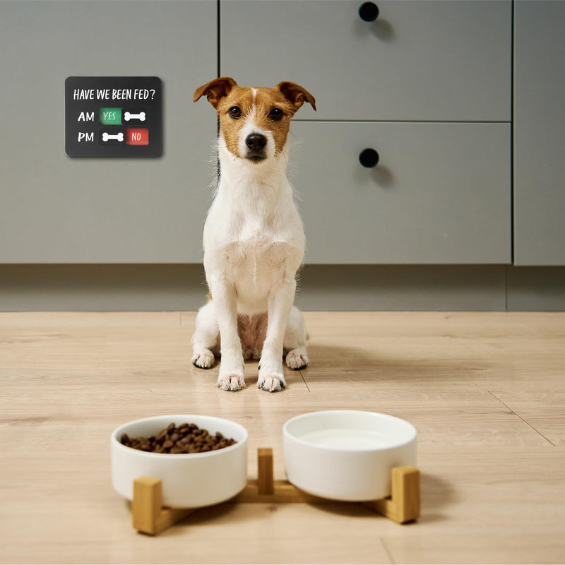 Dog Feeding Reminder Sign with Magnet, Pet Feed Tracker with Have We Been Fed, Acrylic Dog Paw Slider Sign for Fridge, AM PM Feed Sign with Yes No Option, Black with 2 Stickers, 4.7" x 3.9" - PawsPlanet Australia